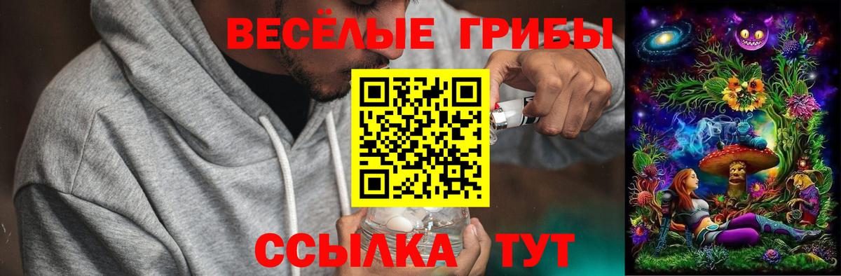 Псилоцибиновые грибы Cubensis  цена наркотик  Красноармейск  Вход с VPN 